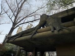 -郑州市动物园
