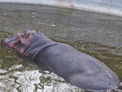 -济南野生动物世界