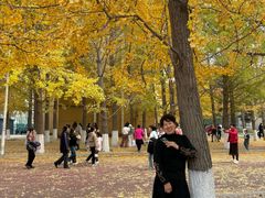 -辽宁大学(崇山校区)