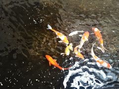 -天津波士信达奔驰4S店(卫津南路店)