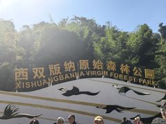 -西双版纳原始森林公园