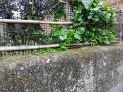 -苏家围·东江画廊旅游景区