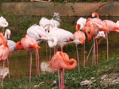 -杭州野生动物世界