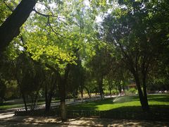-山东大学(趵突泉校区)