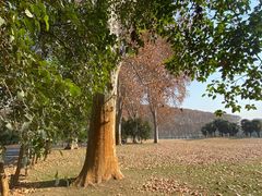 -河南省黄河迎宾馆