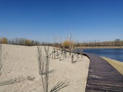 -东郊湿地公园