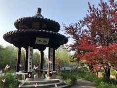 -狼山风景名胜区