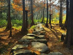-南京市无想山景区