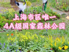-上海共青森林公园