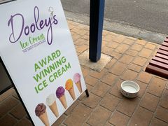 -Dooley's Premium Ice Cream