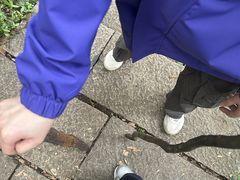 -九曜山