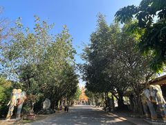 -云南勐巴娜西珍奇园
