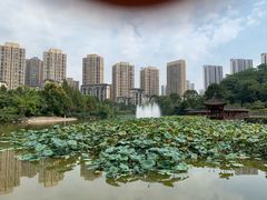 -龙头寺公园