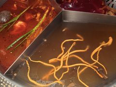 三拼奔驰锅-廖掌柜·重庆鲜货火锅(上海首店)