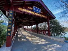 -长广溪湿地公园