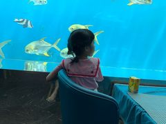 -瑞德姆美人鱼海底演艺主题餐厅(亚龙湾店)