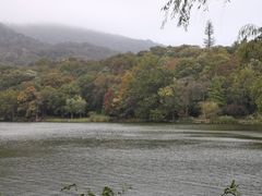 景点-紫霞湖公园