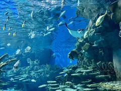 -海合安武汉极地海洋公园