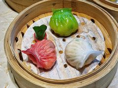 -点都德·毕德寮