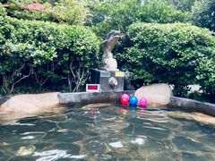-西安国际创新人才交流中心•药浴温泉