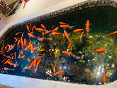 -黄家码头老火锅(解放碑旗舰店)