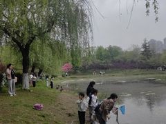 -堤角公园