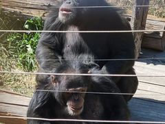 -大连森林动物园