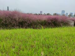 -临平南高铁站(地铁站)