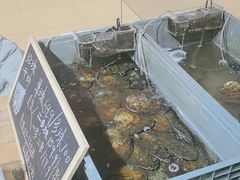 -十八字金·银饰·拼豆·开蚌DIY(魏公芳华里店)