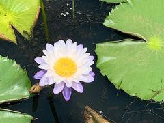 -云溪植物园