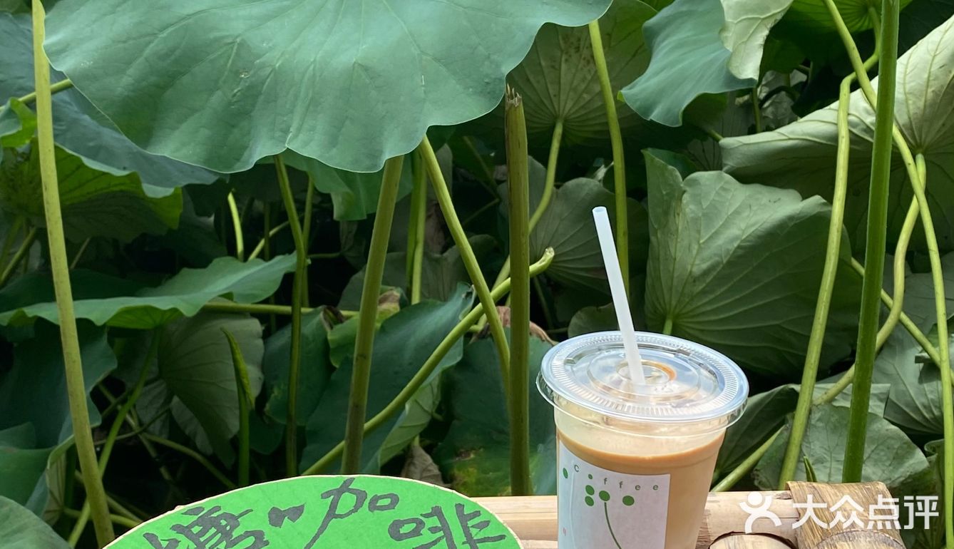 宁波｜总该为了这片荷花池来喝一杯荷塘咖啡吧