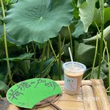 宁波｜总该为了这片荷花池来喝一杯荷塘咖啡吧