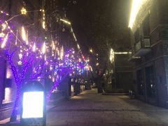 -绿地·中山里