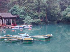 -灵栖洞天