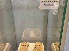 -巴音郭楞蒙古自治州博物馆