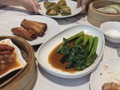 -欢乐海岸美食联盟