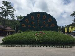 -亚龙湾国际玫瑰谷