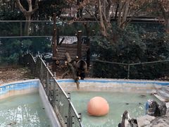 -成都动物园