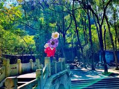 -逍遥谷景区