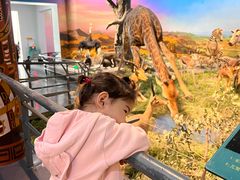 -国家自然博物馆