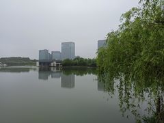 -大宁郁金香公园-停车场