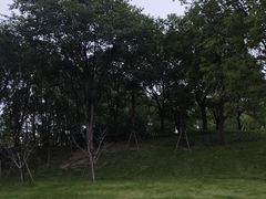 -美兰湖景区