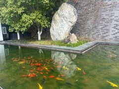 -八大山人梅湖景区