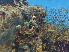 -福州罗源湾海洋世界旅游区