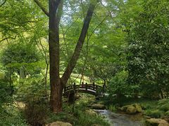 -中国茶叶博物馆(双峰馆区)