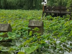-贵阳蓬莱仙界