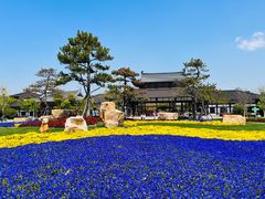 -狼山风景名胜区