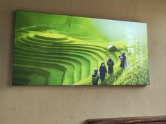 -七步香云南山里菜(昆明老街店)