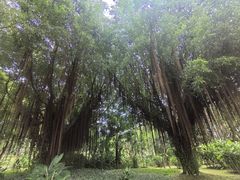 -南宁南湖公园