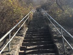-禅宗少林·音乐大典